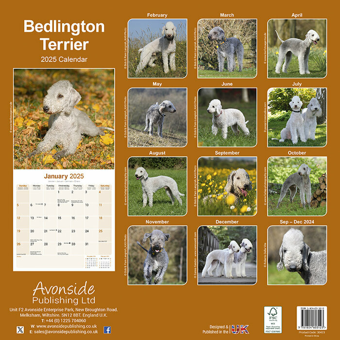 Calendrier Mural 2025 Bedlington Terrier