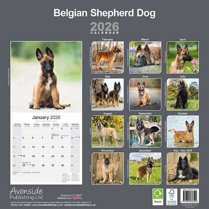 Calendrier Chien Malinois 202