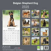 Calendrier Chien Malinois 202