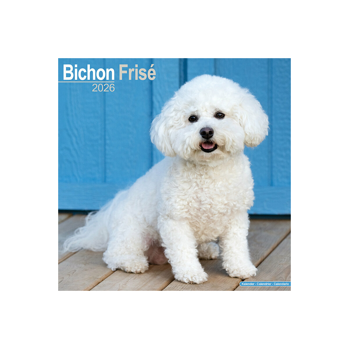Calendrier Mural 2025 Chien de Race Bichon Frisé Chien de Compagnie Bichon