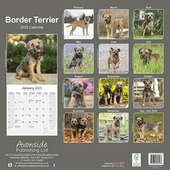 Calendrier 2025 Border Terrier