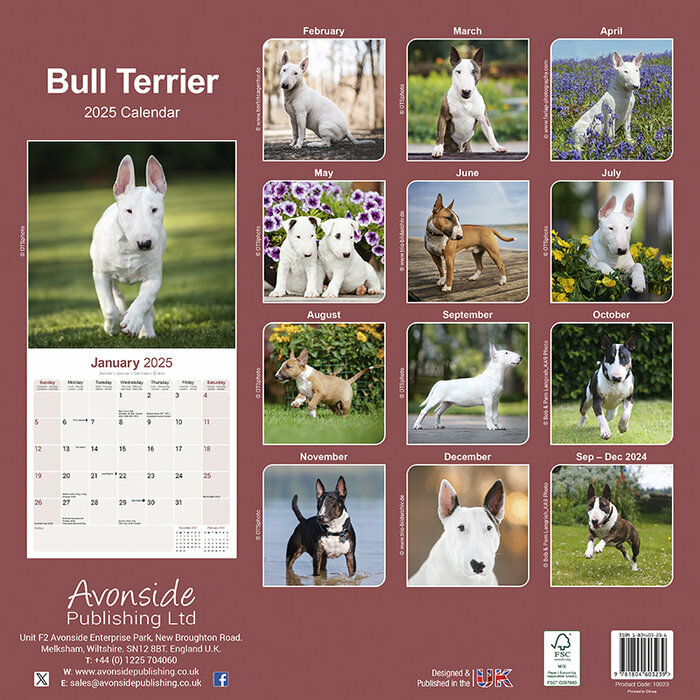 Calendrier Mural 2025 Bull Terrier