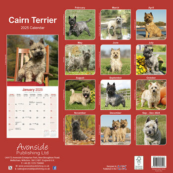 Calendrier 2025 Cairn Terrier