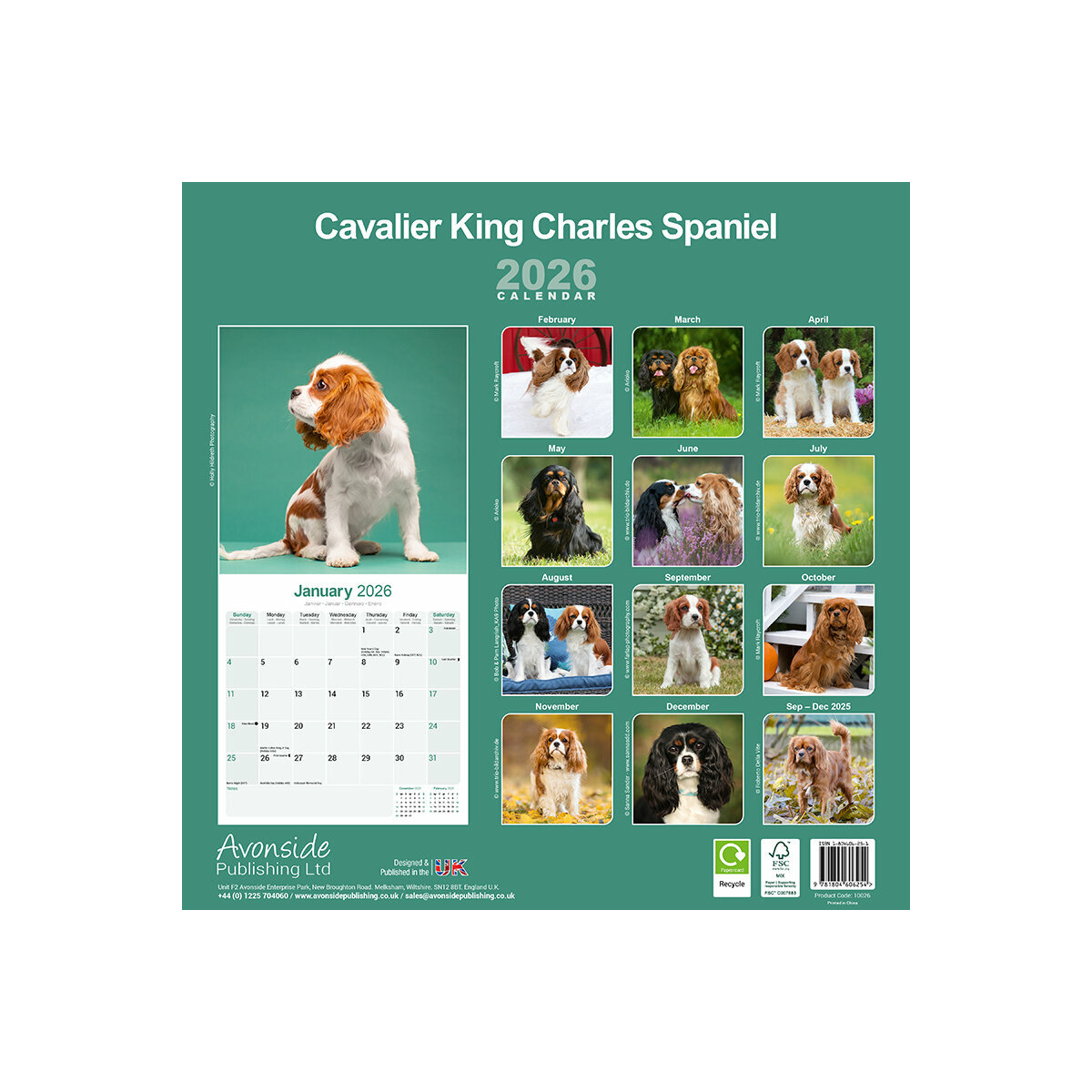 Calendrier Mural 2025 Chien de Race Cavalier King Charles Chien de