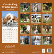 Calendrier Mural 2025 Cavalier King Charles
