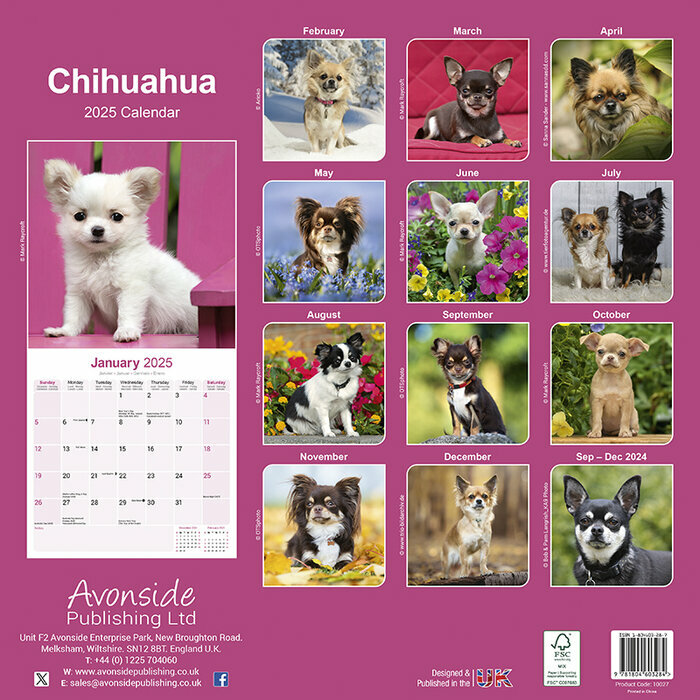 Calendrier Mural 2025 Chihuahua