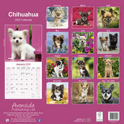 Calendrier Mural 2025 Chihuahua