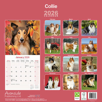 Calendrier 2026 Colley
