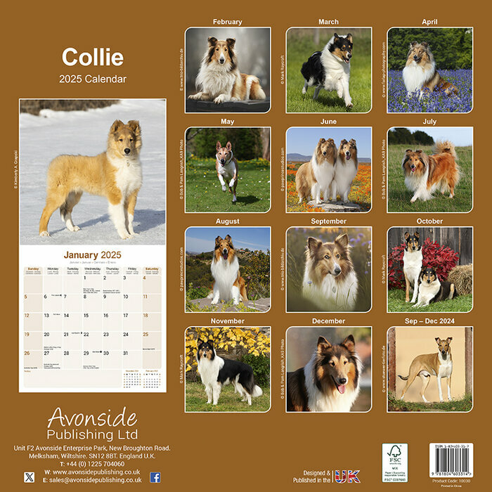 Calendrier Mural 2025 Berger Ecossais Colley