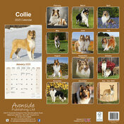 Calendrier Mural 2025 Berger Ecossais Colley