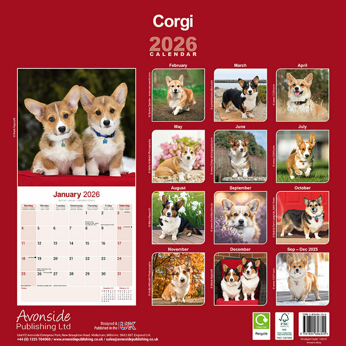 Calendrier papier 2026 Welsh Corgi