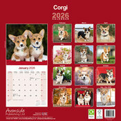 Calendrier papier 2026 Welsh Corgi