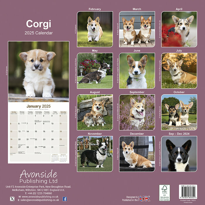 Calendrier Mural 2025 Welsh Corgi