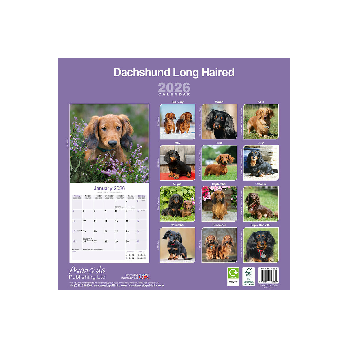 Calendrier De L’Avent 2025 Teckel – 24 Pendentifs En Acrylique 2D, Décoration De Noël Chien