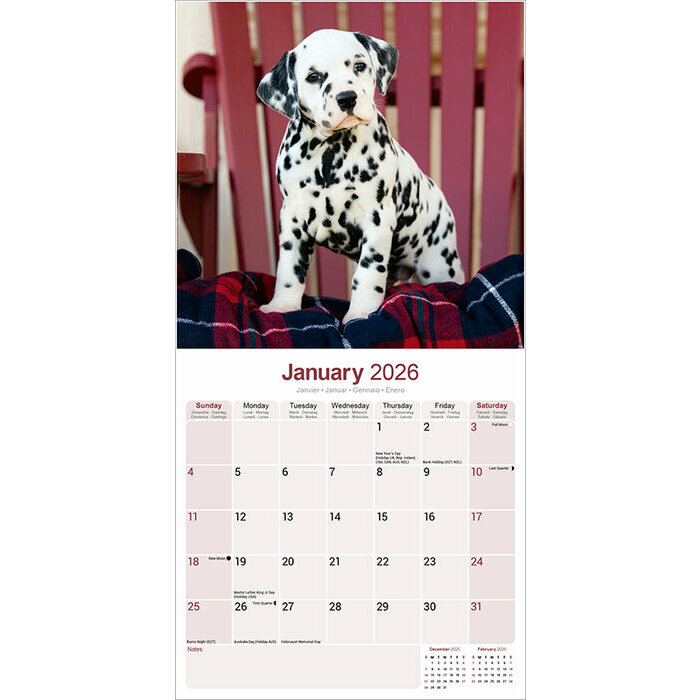 Calendrier papier 2026 Dalmatien Nature