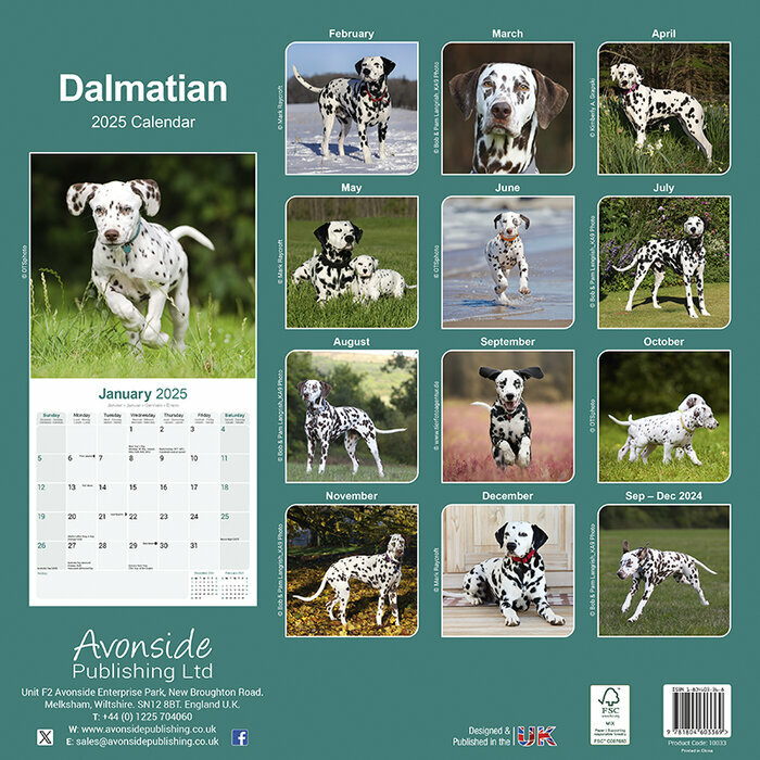 Calendrier 2025 Dalmatien