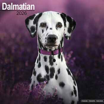 Calendrier 2026 Dalmatien