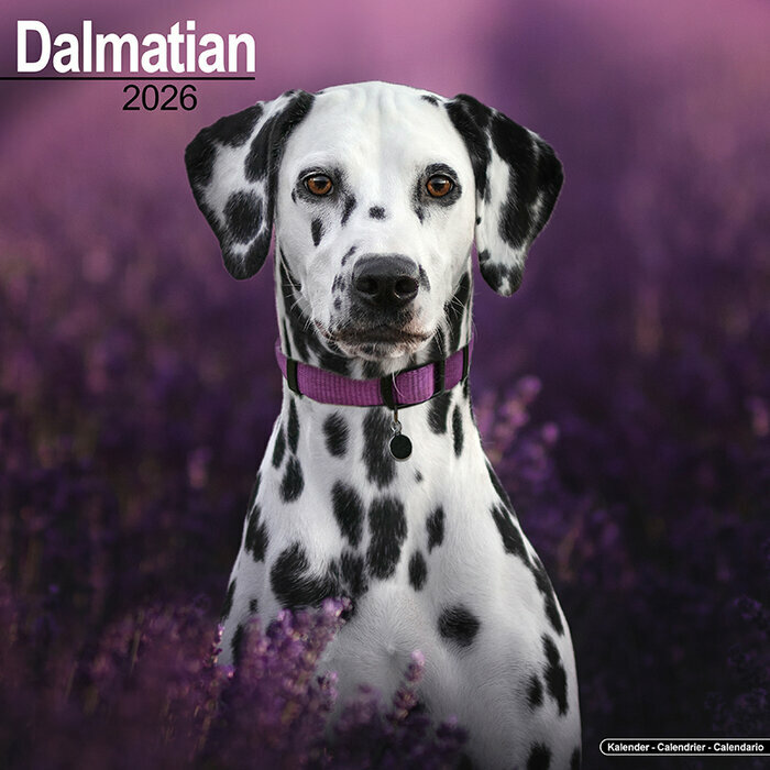 Calendrier 2026 Dalmatien Nature