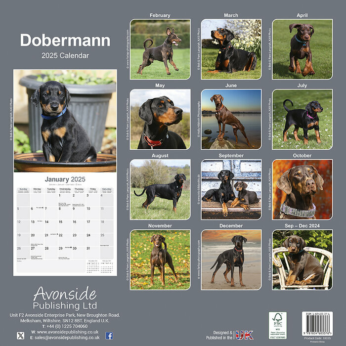 Calendrier 2025 Dobermann Garde