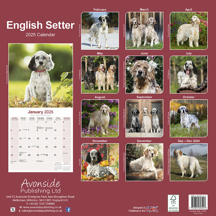 Calendrier Mural Setter Anglais 2025