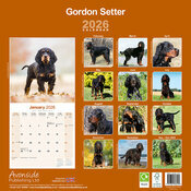 Calendrier papier Setter Gordon 2025