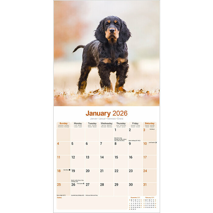 Calendrier Mural Setter Gordon 2026