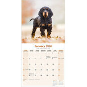Calendrier Mural Setter Gordon 2026