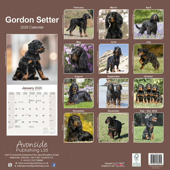 Calendrier Chien de Chasse Setter Gordon 2025
