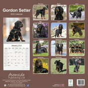Calendrier Chien de Chasse Setter Gordon 2025