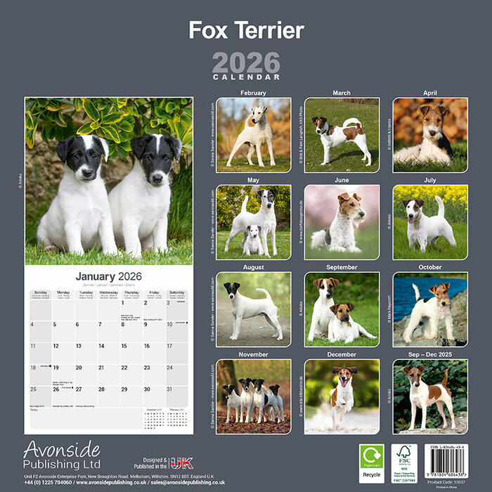 Calendrier 2026 Flat Coated Retriever Noir