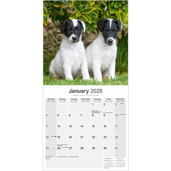 Calendrier papier 2026 Flat Coated Retriever Noir