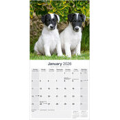 Calendrier papier 2026 Flat Coated Retriever Noir