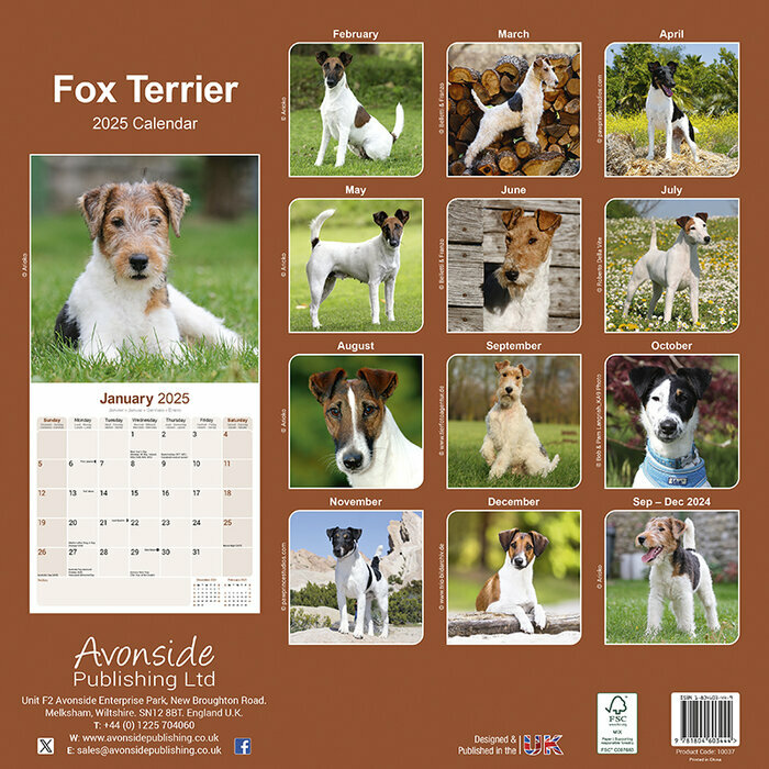 Calendrier Mural 2025 Flat Coated Retriever Noirr