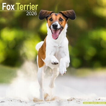 Calendrier 2026 Fox Terrier
