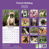 Calendrier Bouledogue Franais 2026