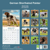 Calendrier 2026 papier Braque Allemand Poil Court
