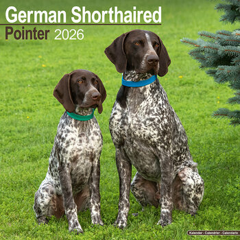Calendrier 2026 Braque Allemand