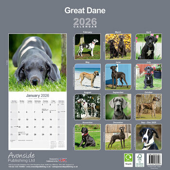 Calendrier 2026 Dogue Allemand