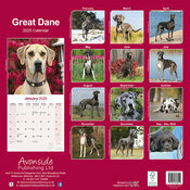 Calendrier Mural Dogue Allemand 2025