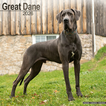 Calendrier 2026 Dogue Allemand