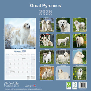 Calendrier 2026 Montagne des Pyrénées