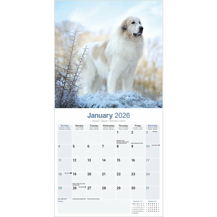 Calendrier papier 2026 Montagne des Pyrnes