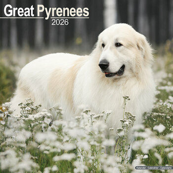 Calendrier 2026 Montagne des Pyrénées