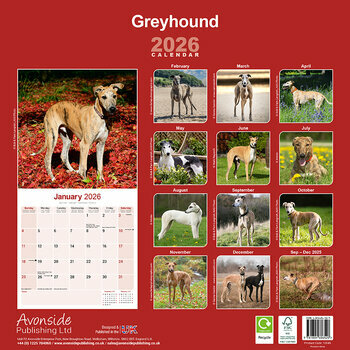 Calendrier 2026 Greyhound