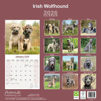 Calendrier 2026 Irish Wolfhound