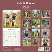 Calendrier mural Lvrier 2026 Irish Wolfhound