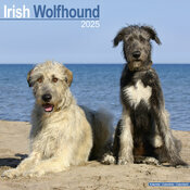 Calendrier 2025 Irish Wolfhound