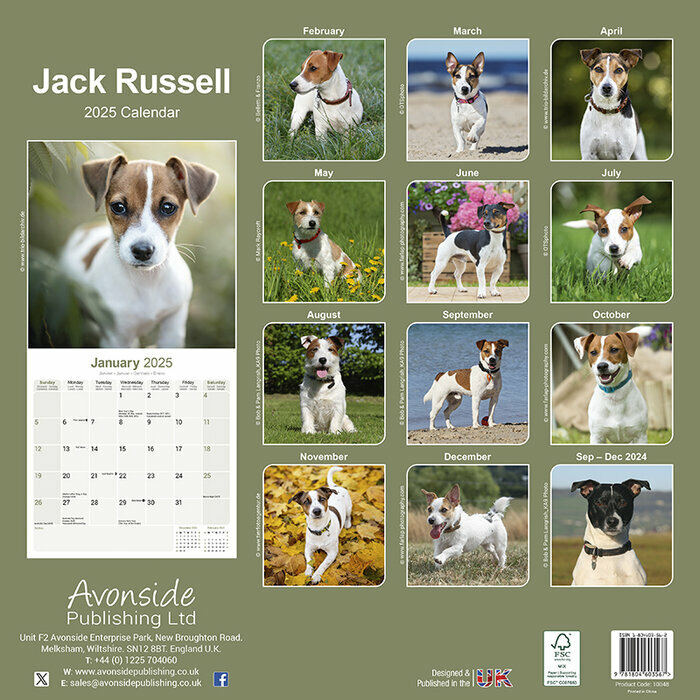 Calendrier Jack Russell Terrier 2025