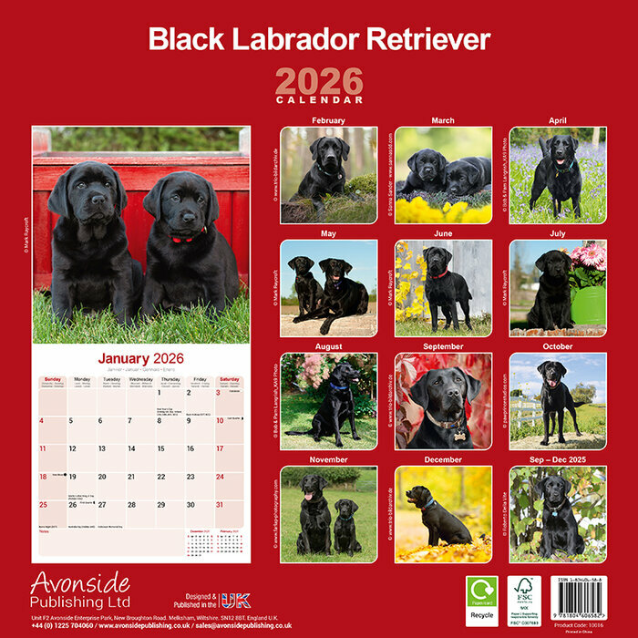 Calendrier papier 2026 Labrador retriever Noir