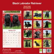 Calendrier papier 2026 Labrador retriever Noir